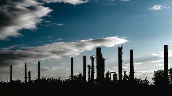 Oil, gas giants could pay climate damage and still profit: research