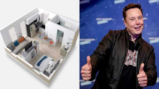 Elon Musk: 3rd richest man in the world moves into small 1-bedroom rented apartment