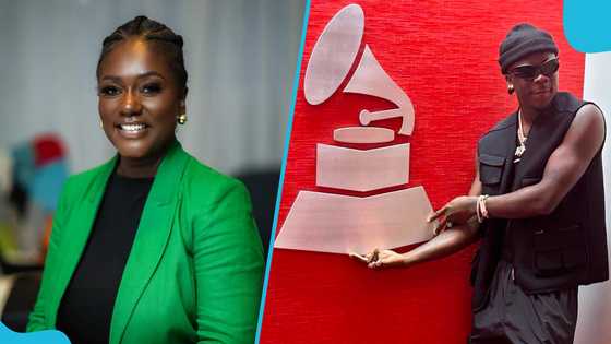 Dentaa Amoateng Speaks On The Recording Academy's Plans: "Ghana Not Part Of Founding Members"