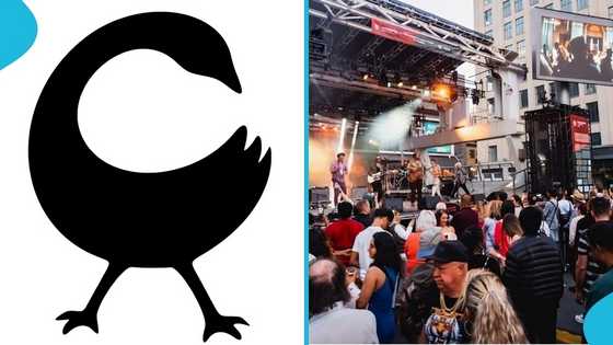 Canadian Street, Public Square finally named after GH Andinkra symbol, Sankofa: “Proudly Ghanaian”