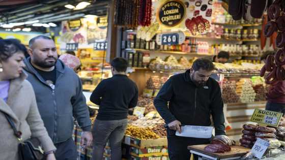 Turkey central bank holds key interest rate steady