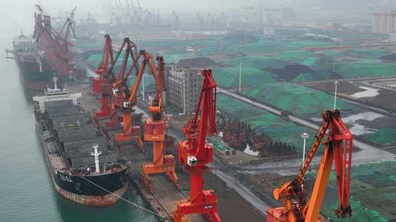 China's November imports, exports plunge owing to Covid rules