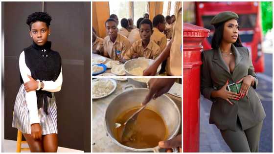 DJ Switch, Selly Gally and Other Ghanaian Celebrities Disheartened By Video of SHS Students Sharing 1 Fish