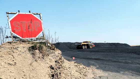 Green future is cause for worry in S.Africa's coal belt