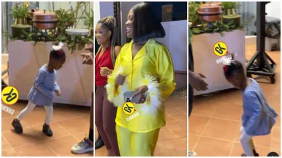 Island Frimpong danced in a video at Fella Makafui's Serwaa TV series Party