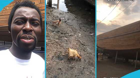 Controversial Ebo Noah says his ark is 80% ready, restates end of the world prophecy