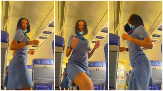 Beautiful female flight attendant records herself as she dances with her waist in an aeroplane in cute video