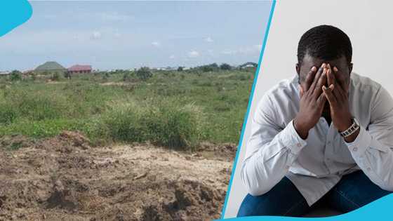 Land fraud alert: Ghanaian consultant urges citizens to flee when they spot this