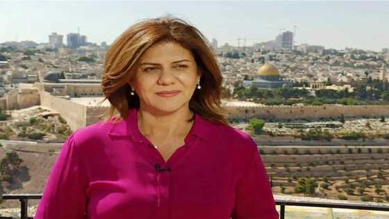 Israel concedes soldier likely shot Al Jazeera journalist
