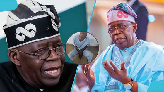 Nigeria uncovers two more fake agencies as name behind them surprises many