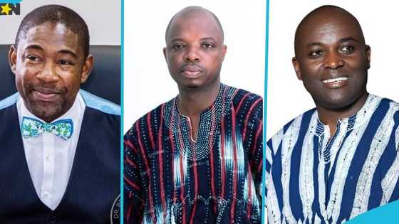Full list of newly elected NPP regional chairmen for election 2028