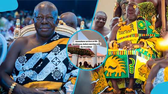 Otumfuo's gigantic residence in Accra surfaces after visit to Jubilee House, video