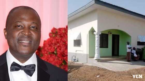Story of Ibrahim Mahama: From college school dropout to billionaire entrepreneur