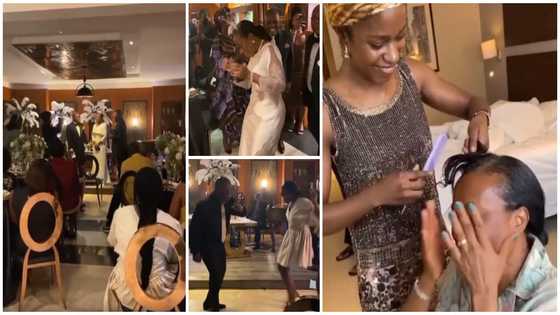 So beautiful: Nigerian siblings organize surprise white wedding for their parents who never had it in video