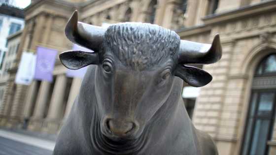 Asian markets track Wall St record as US jobs fuel rate cut hopes