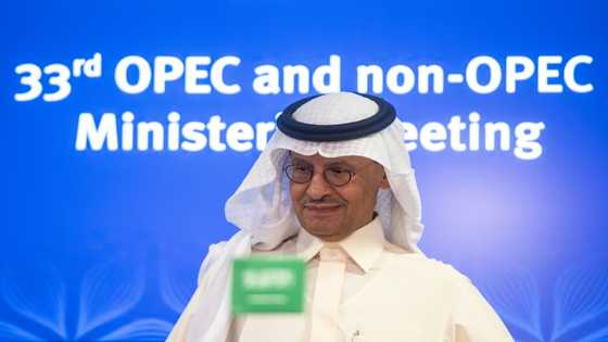 OPEC+: a thriving Saudi-Russian marriage of convenience