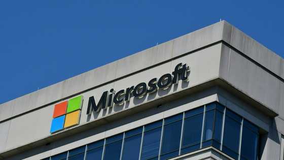 AI chatbots must learn to say 'help!' says Microsoft exec