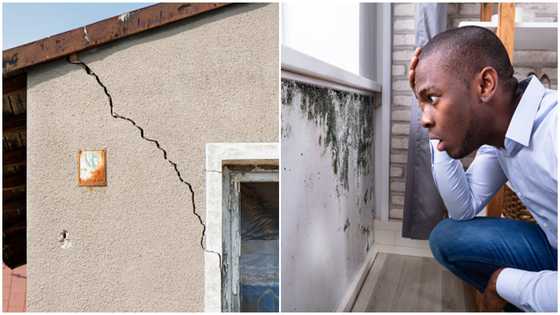 3 ways landlords hide the defects of their property from potential homebuyers and renters