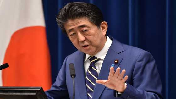 Shinzo Abe, who became Japan's longest-serving premier Wednesday, was groomed for politics from birth and has cemented his power with shrewd diplomacy, unwavering nationalism, and a knack for surviving scandal.