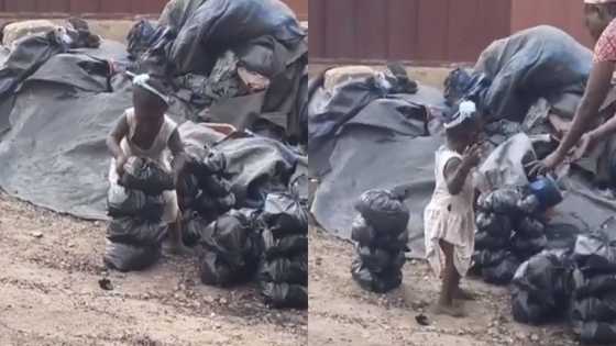 Find her for me - Wendy Shay says as video of baby helping mom sell charcoal surfaces