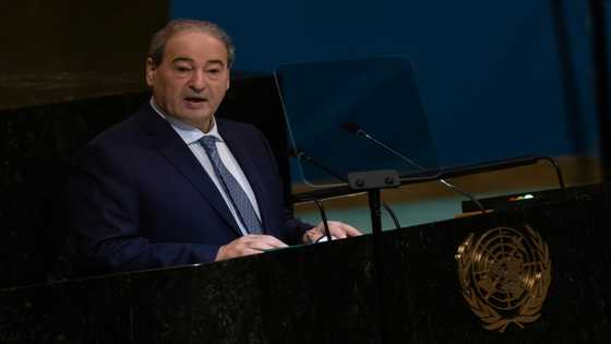 Russia enjoys rare backing at UN from Syria