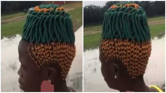 Be like conductor and insulator wires: Reactions to video of lady with 'pineapple' hairstyle