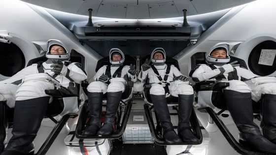 Great News drops as Elon Musk's SpaceX Launches 4 Astronauts to ISS From Florida
