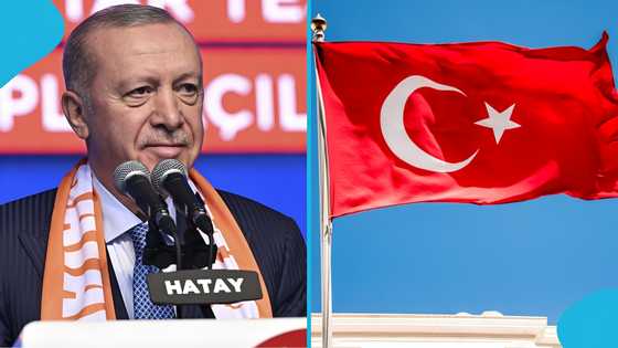 Türkiye launches a website where foreigners from any country can find jobs, relocate abroad