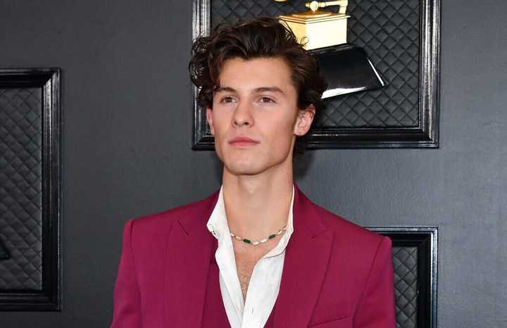 Shawn Mendes ethnicity, nationality, wife, parents, siblings - YEN.COM.GH