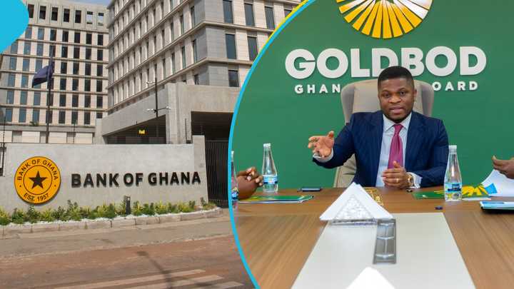 Goldbod Operations Lead to $214 Million Loss at the Bank Of Ghana - YEN ...