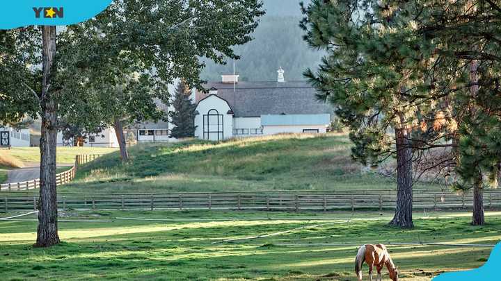 Where is the Yellowstone Ranch filmed? The real Dutton ranch and how to ...