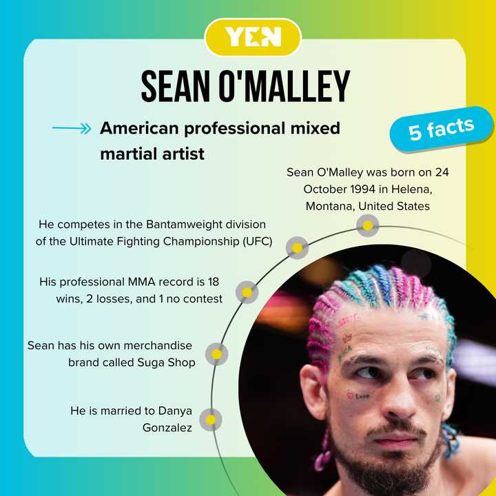 UFC Martial artist Sean O'Malley’s net worth & wealth through ...