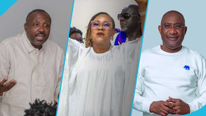 Mussa Dankwa drops final prediction for NPP executive election races, familiar faces to fall flat